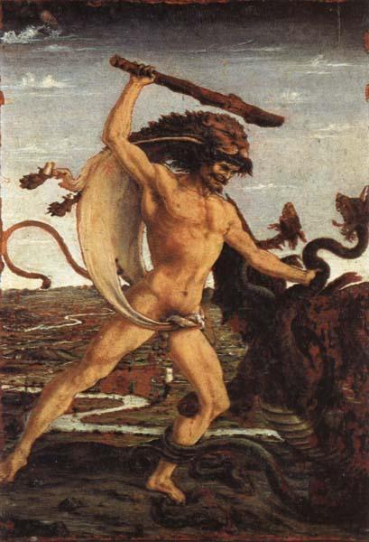 Antonio Pollaiolo Hercules and the Hydra oil painting picture